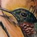 Tattoos - Humming Bird - 65776